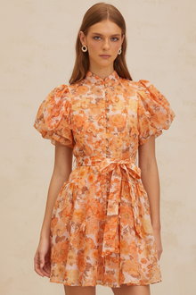 Vestido calabaza